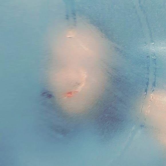 Meet your Posher, Crow - Picture 1 of 1